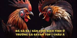 đá gà k8 sân chơi kịch tính ở trường gà savan top 1 châu á