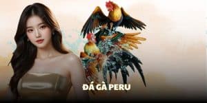đá gà peru tranh tài cực đỉnh tại trường gà savan