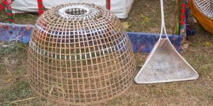 vệ sinh chuồng gà theo chuyên gia từ trường gà savan